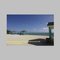 38743 18 057 Colliers Beach,  Grand Cayman, Karibik-Kreuzfahrt 2020.JPG